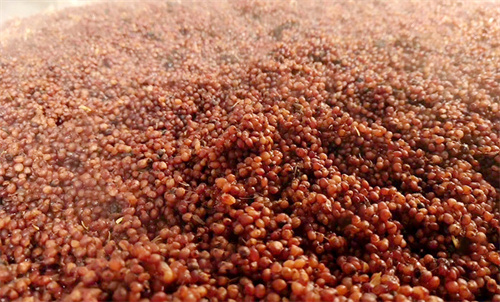 临水玉泉怎么样「临水玉泉6年酒价格」