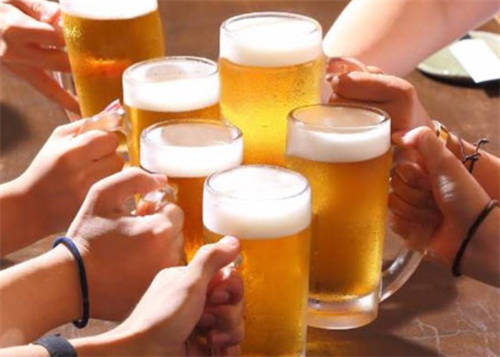 格林王啤酒贵阳供货商-格林王啤酒价格