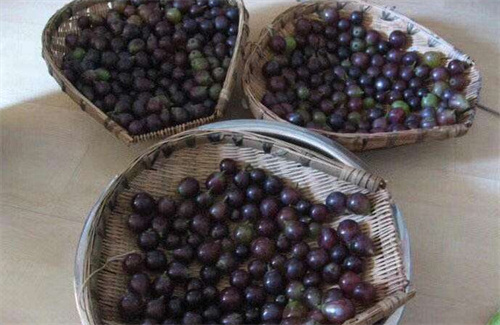 你喝过最贵的酒是什么,国酒品鉴价格表